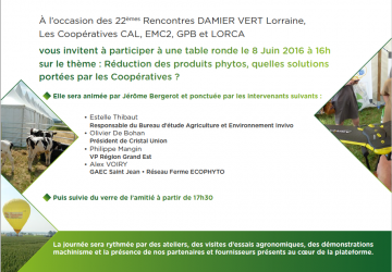 DAMIER VERT - COOPERATIVES AGRICOLES