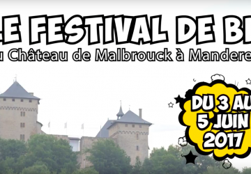 FESTIVAL DE LA BANDE DESSINEE