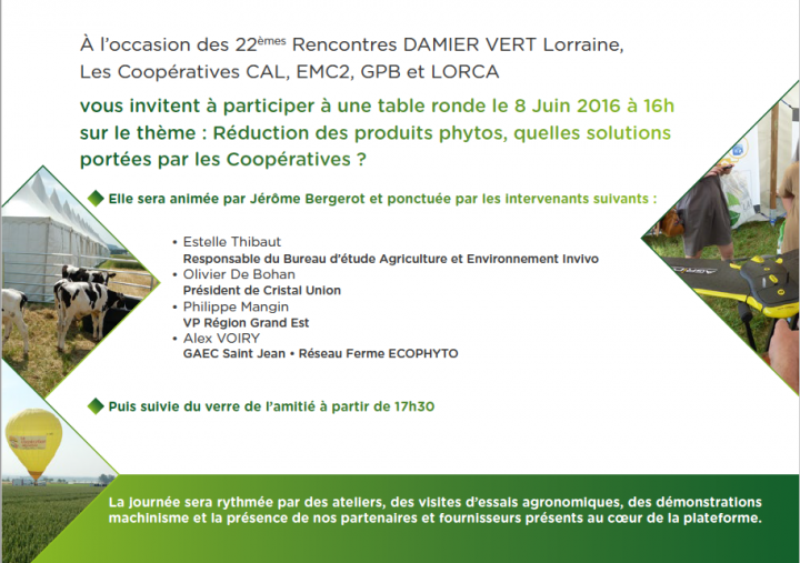 DAMIER VERT - COOPERATIVES AGRICOLES