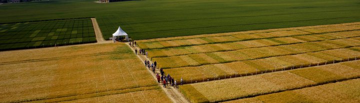 DAMIER VERT - COOPERATIVES AGRICOLES